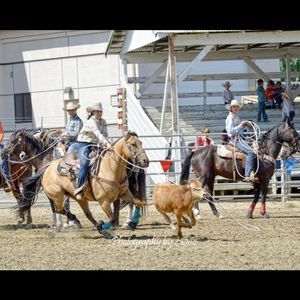 Meet your Posher, Mackenzie